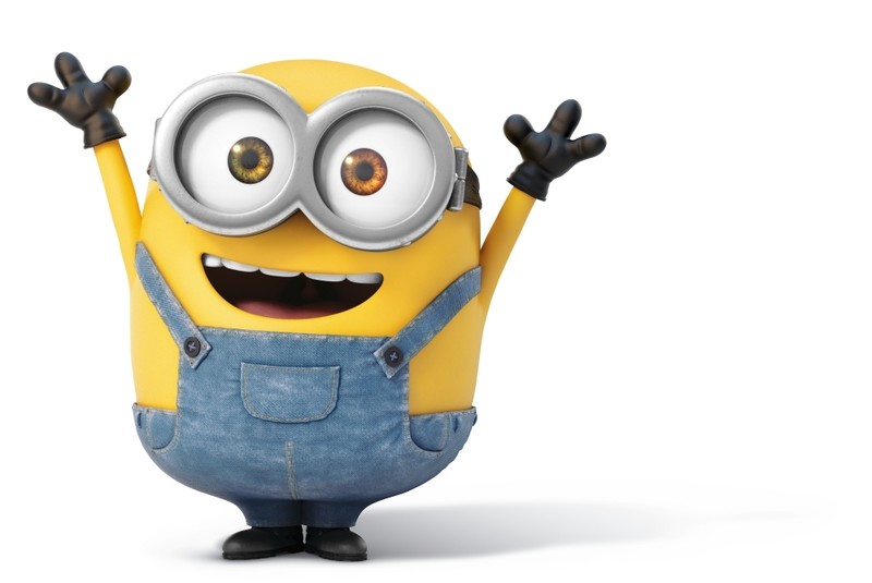 Amazing Facts About the Minions Elite Facts